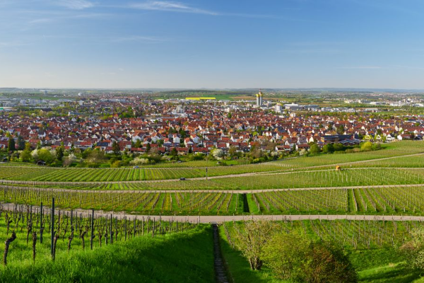 Bild 1 von Stadtteil-Rathaus Oeffingen