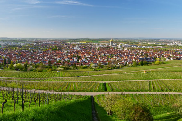 Bild 1 von Lorenz Kachelofenbau